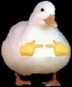 VeronaDuck