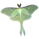 fairycore_butterfly
