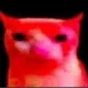 dmon