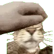 emoji_9 emoji_9