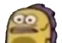fish_stare