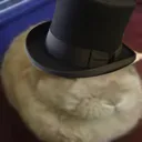 domhandsome