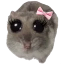 sadhamster
