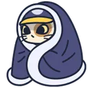 steamcatcozy steamcatcozy