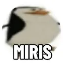 GL_Miris