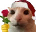 catRose