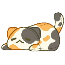 A calico cat lying face-down on the ground in a state of defeat.