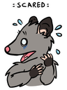 Opossum looking visibly scared and panicked with sweat drops around its head.