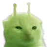 glorp