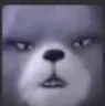 about2bear