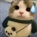 catsweat