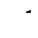 CatSpin