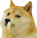 BONKVomit