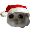 JollyOh