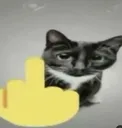 dedodomeio