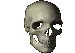 SkullSpin