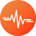 pulsemediaround