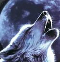 wolf Discord Emoji - ChekoVerse