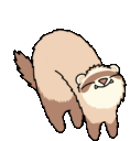 A tan ferret arching its back and wiggling happily with yellow sparkling effects appearing above it.