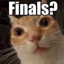 finals Discord emoji