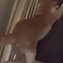catwalltwerk