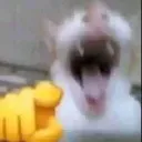 laughatthisuser