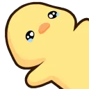 d_chicksob