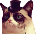 :2524grumpycattophat: