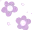 two_flowers