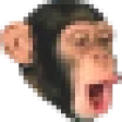 monkey_pog monkey_pog