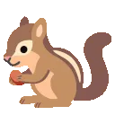 eichhrnchen eichhrnchen