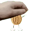 petPeanut petPeanut