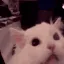 AAAAAAAAAAAAAAAAAAAAAAAAAAAAAAAA