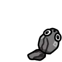 pebbledistract
