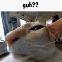 guh