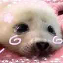 sealpink