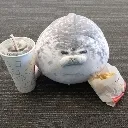 fatseal fatseal