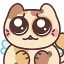 cinnacat_plead