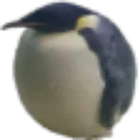 Penguin_cang