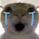 cry