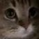 meoW
