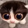 MONKA