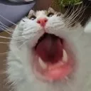 emoji_34