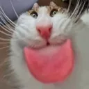 emoji_34