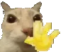otaghi