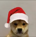Natal Natal