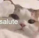 salute salute