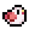 birbdance