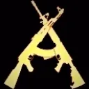 Gun