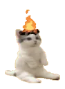 burningcat